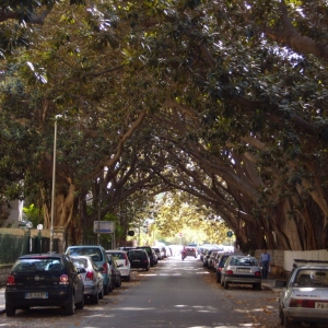 dove si trova studio tre palermo